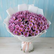 Букет цветов из:  Хризантемы в Полазне