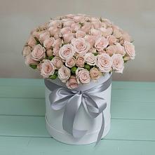 Цветочная композиция из Розы в шляпной коробке #REPLACE_PRED# Полазне