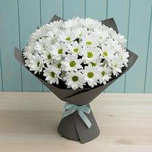 Букет цветов из:  Хризантемы в Полазне