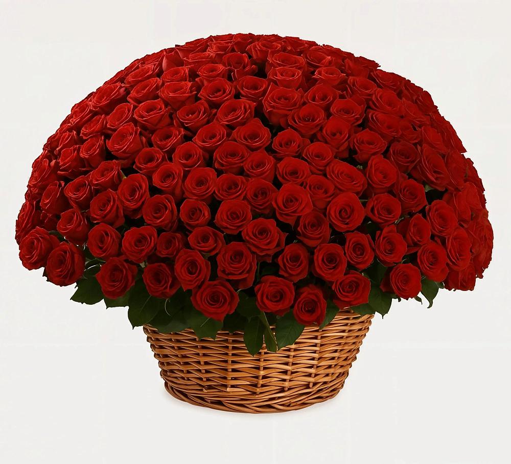 Премиум букет из: Розы в Полазне