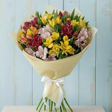 Букет цветов из:  Альстромерии #REPLACE_PRED# Полазне