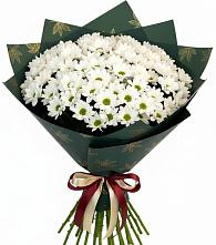 Букет цветов из:  Хризантемы в Полазне